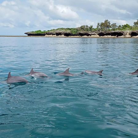 Wasini Raha Snorkeling And Diving Apartment Luaran gambar