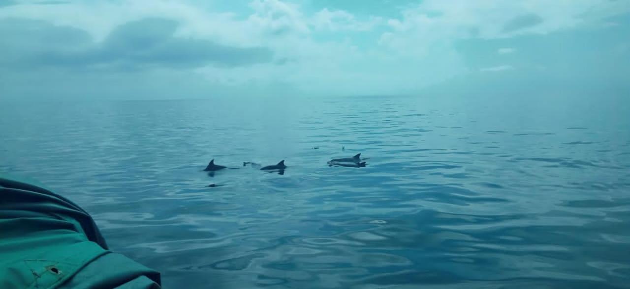 Wasini Raha Snorkeling And Diving Apartment Luaran gambar